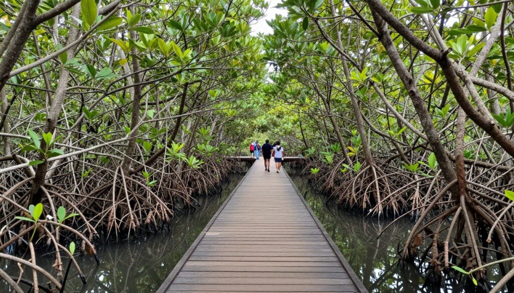 Jembatan kayu di Hutan Mangrove BJBR wisata Probolinggo